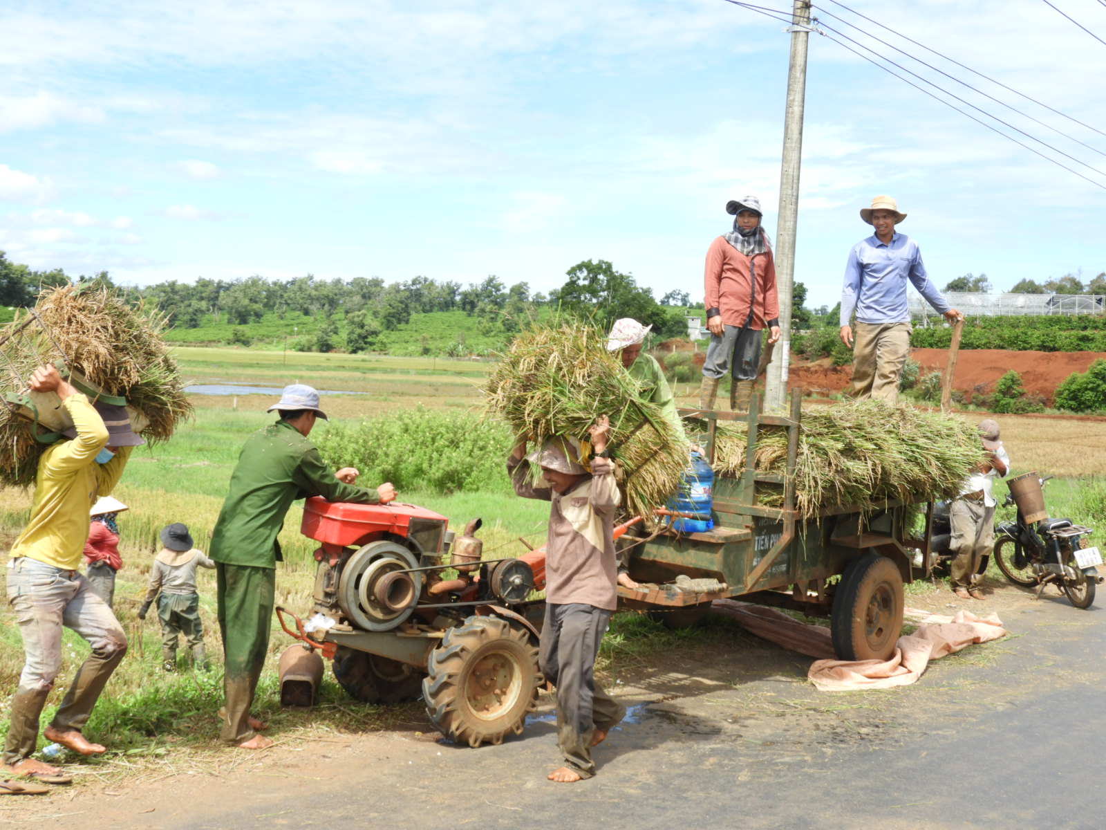 Article Ia Grai tích cực giúp nông dân sản xuất - kinh doanh giỏi