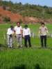 Nông dân huyện Ia Grai tập trung chăm sóc lúa Đông Xuân