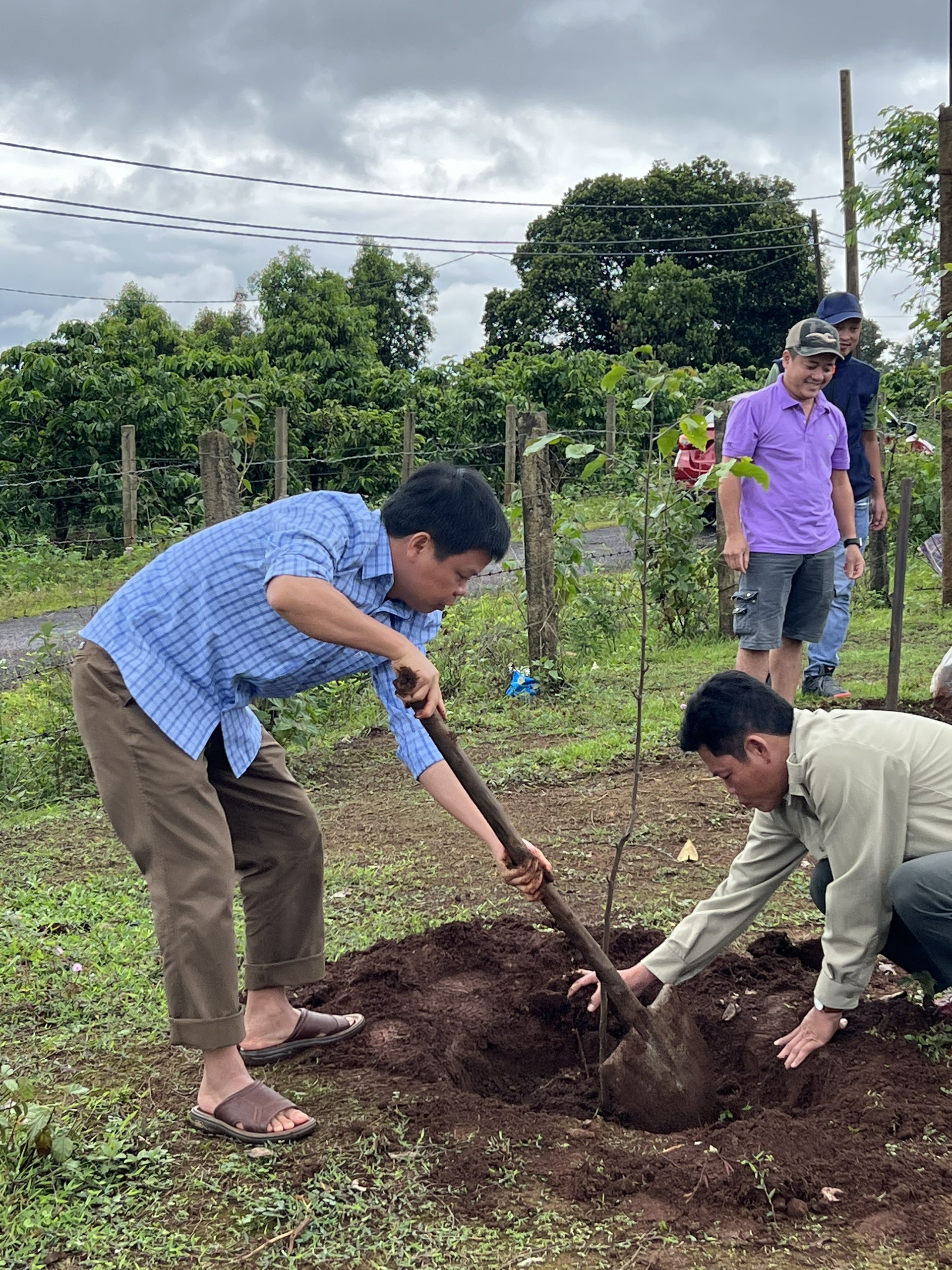 Article Phó chủ tịch UBND tỉnh Nguyễn Hữu Quế tham gia trồng cây xanh tại xã Ia Hrung (huyện Ia Grai)